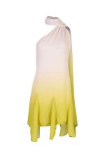 77.Ari-Mini-Dress-Golden-Milk1.2_2048x2048 MINI DRESS ARI BC - Imagen 1